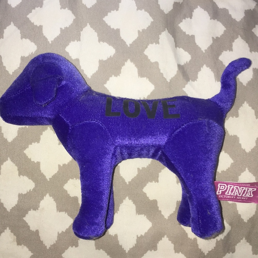 VS PINK Dog